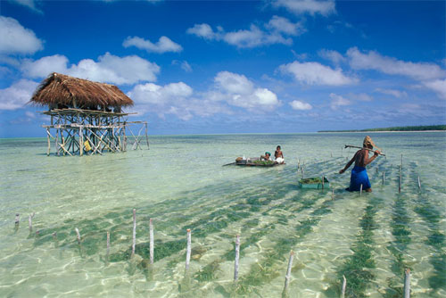 Picture 6 of How have we changed with the climate?