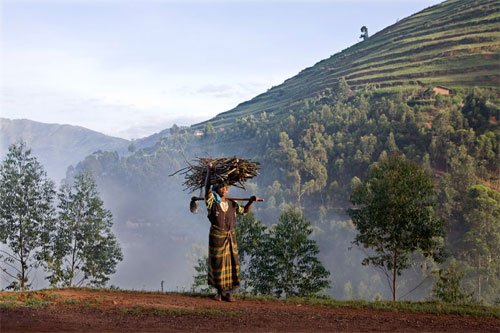 Picture 9 of How have we changed with the climate?