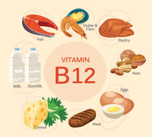 Picture 3 of How important is vitamin B12?