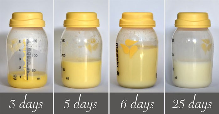 Picture 2 of How is breast milk 'produced'?