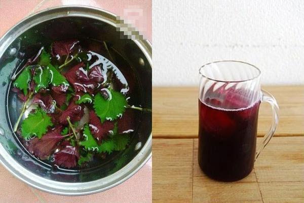 Picture 2 of How is drinking perilla leaf water effective and harmful to health?