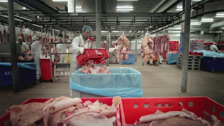 Picture 2 of How is gelatin food additive produced?