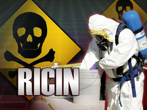 Picture 2 of How is ricin in castor oil poisonous?