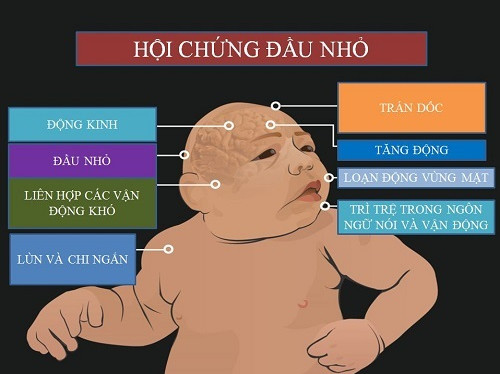 Picture 1 of How is Zika virus raging in human history?