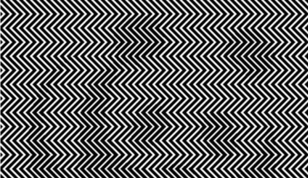 Picture 2 of How many seconds do you take to see the panda in this photo?