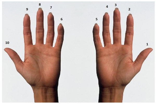 Picture 1 of How much can you count with your hand?