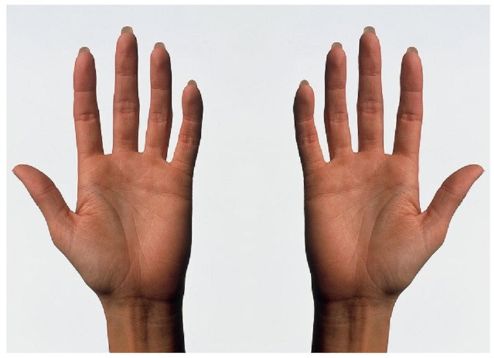 Picture 2 of How much can you count with your hand?