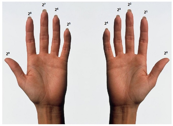 Picture 3 of How much can you count with your hand?