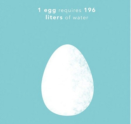 Picture 10 of How much water is needed to produce 1kg of food for you?