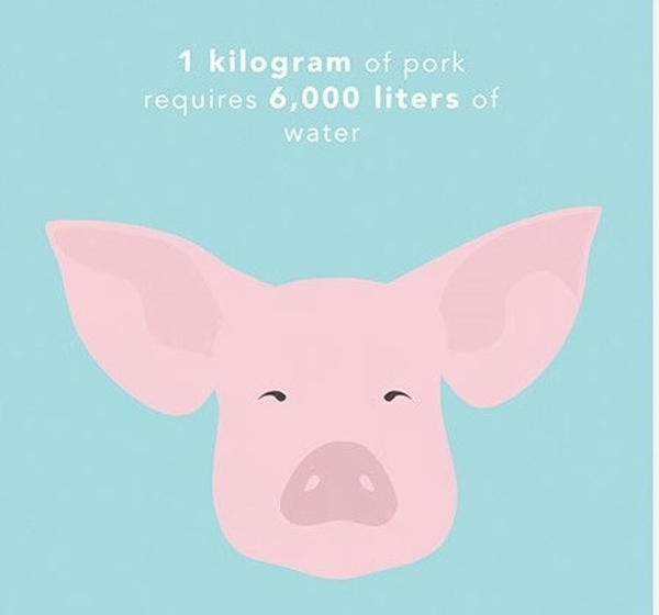 Picture 2 of How much water is needed to produce 1kg of food for you?