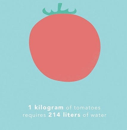 Picture 3 of How much water is needed to produce 1kg of food for you?