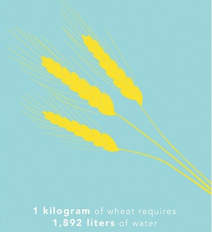 Picture 5 of How much water is needed to produce 1kg of food for you?