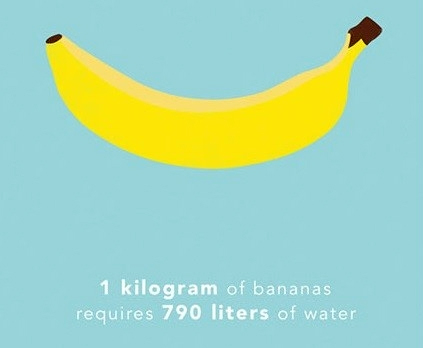 Picture 7 of How much water is needed to produce 1kg of food for you?