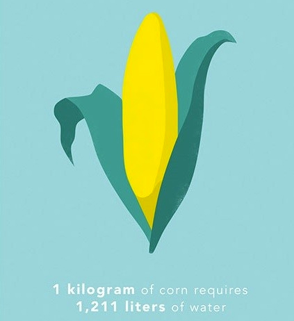 Picture 8 of How much water is needed to produce 1kg of food for you?