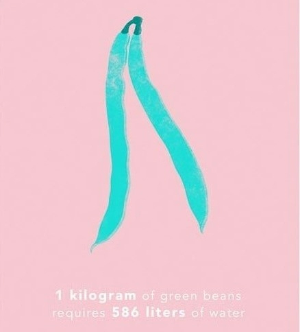 Picture 9 of How much water is needed to produce 1kg of food for you?