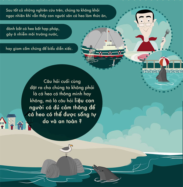 Picture 8 of How smart is dolphin?
