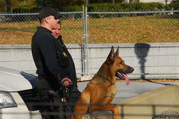 Picture 3 of How strict is the White House protected?