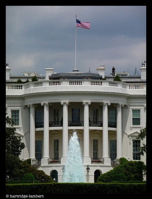 Picture 9 of How strict is the White House protected?