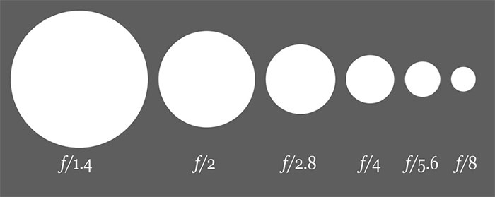 Picture 5 of How the camera works and how to take a nice picture
