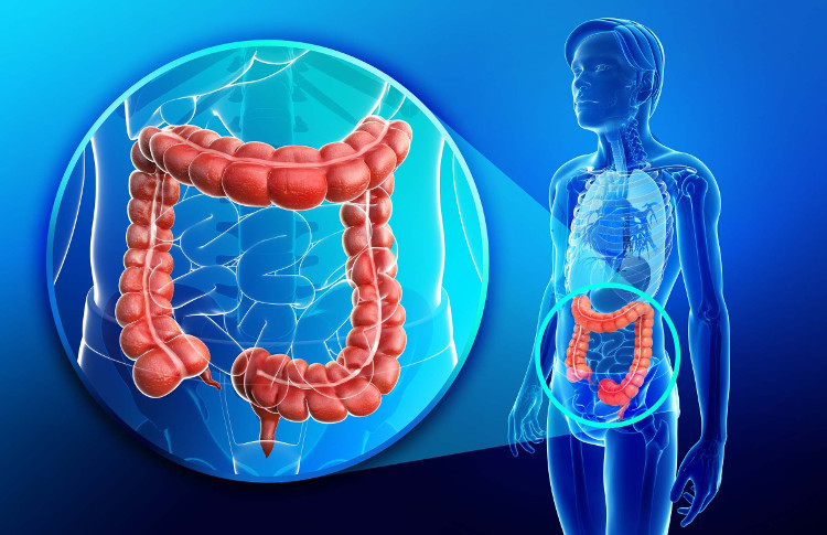 Picture 3 of How the microorganisms in the gut 'hack' control your genome