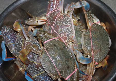 Picture 3 of How to choose crabs, delicious and meaty crabs