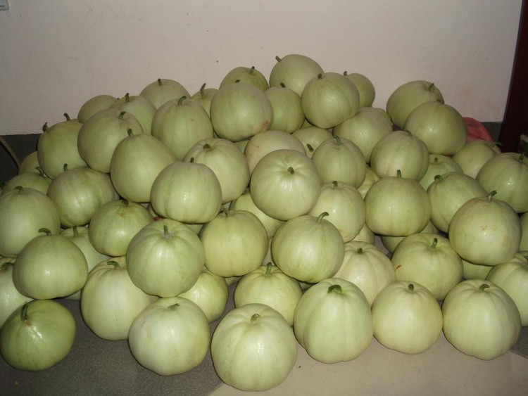 Picture 2 of How to choose delicious melon without sucking 'chemical'