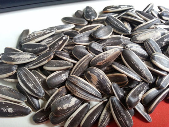 Picture 1 of How to choose sunflower seeds safely