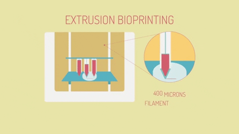 Picture 5 of How to create organs using 3D printing technology