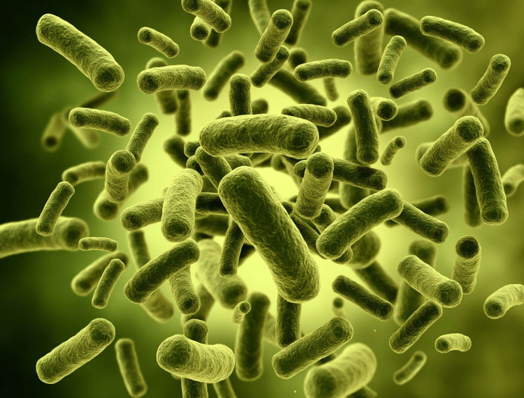 Picture 2 of How to cure bloating, bloating with bacteria