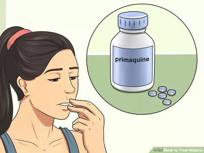 Picture 12 of How to diagnose, treat and prevent malaria