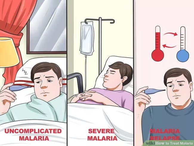 Picture 3 of How to diagnose, treat and prevent malaria
