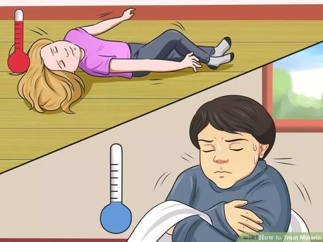 Picture 4 of How to diagnose, treat and prevent malaria