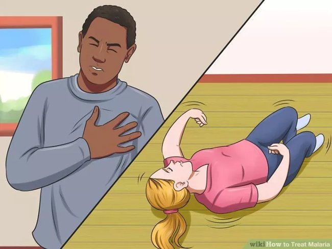 Picture 5 of How to diagnose, treat and prevent malaria