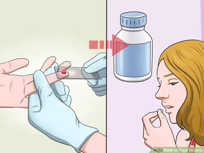 Picture 8 of How to diagnose, treat and prevent malaria