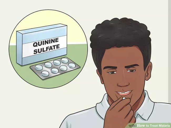 Picture 9 of How to diagnose, treat and prevent malaria