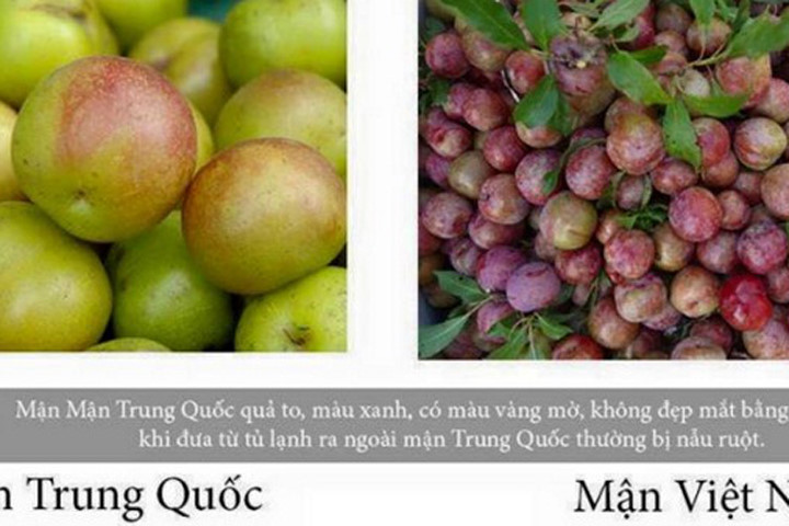 How to distinguish Vietnamese plums and Chinese plums