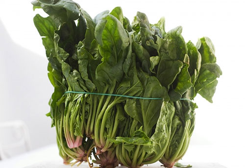 Picture 3 of How to grow cancer-resistant spinach at home
