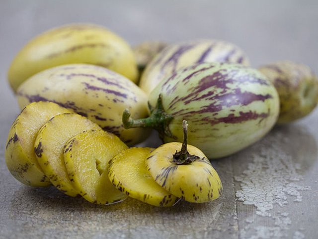 Picture 20 of How to grow pepino wrong fruit in potted plants for every home