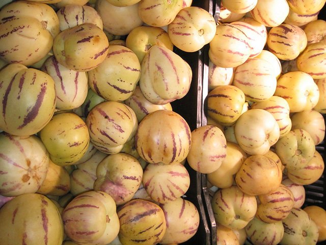 Picture 5 of How to grow pepino wrong fruit in potted plants for every home
