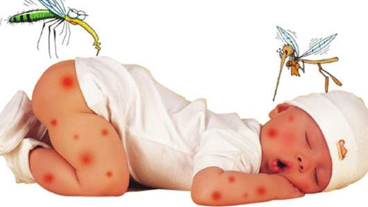 Picture 4 of How to identify children with dengue fever