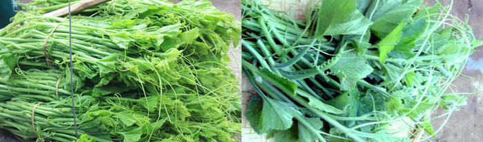 Picture 8 of How to identify clean vegetables and vegetables that contain a lot of chemicals