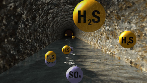 How to identify H2S gas, avoid the risk of poisoning? images 2