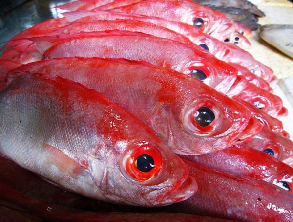 Picture 1 of How to identify urea-impregnated seafood