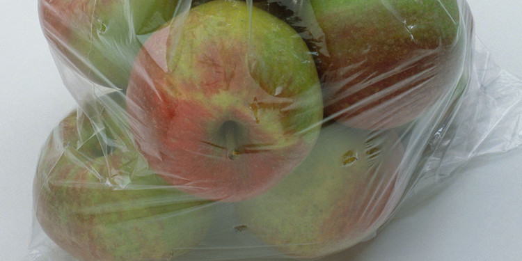 Picture 4 of How to keep fresh vegetables without preservatives