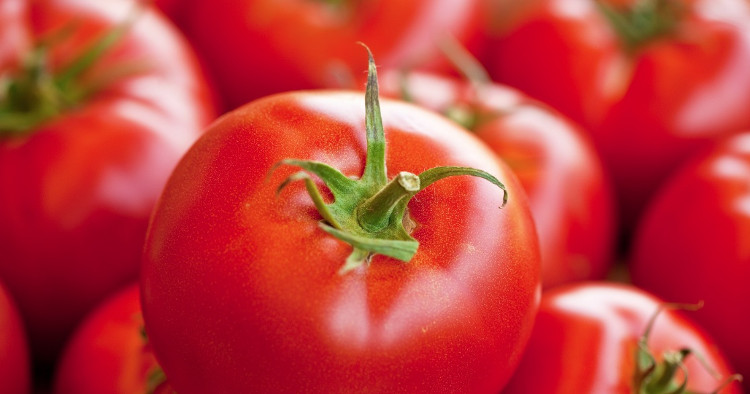 Picture 6 of How to keep fresh vegetables without preservatives