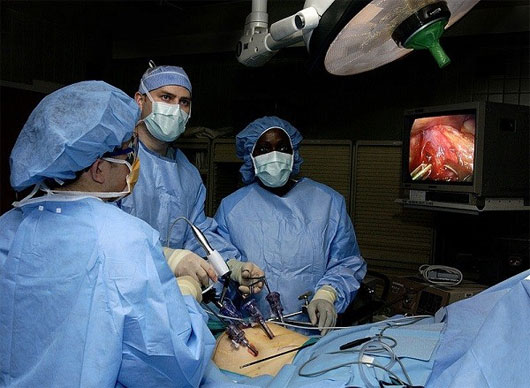 Picture 7 of How to perform 'body grafting' from scary to modern