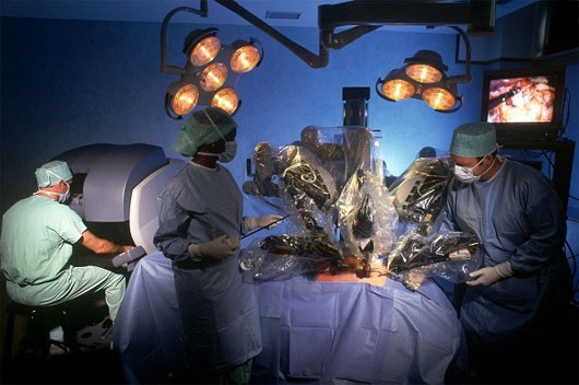 Picture 8 of How to perform 'body grafting' from scary to modern