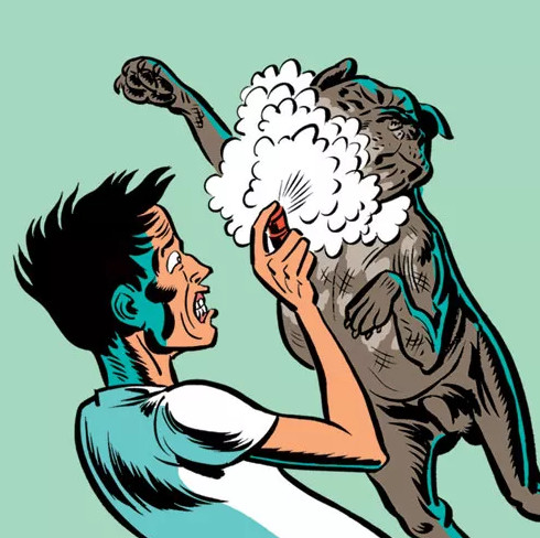 Picture 10 of How to prevent and escape when the dog attacks