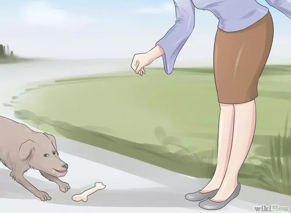 Picture 7 of How to prevent and escape when the dog attacks