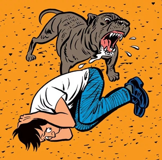 Picture 8 of How to prevent and escape when the dog attacks
